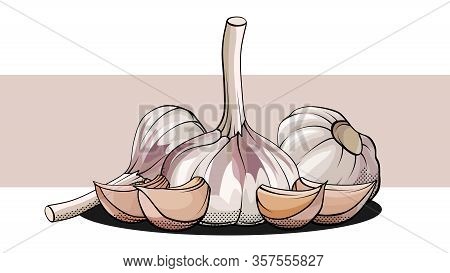 Vector Simple Illustration Of A Group Of Bulb Garlic With Cloves On A Label.
