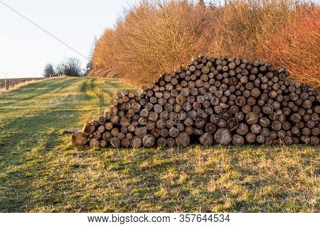 Wooden Logs Of Pine Woods In The Forest, Stacked In A Pile In Dolomites. Freshly Chopped Tree Logs S