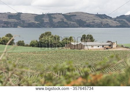 Aquitania, Boyaca / Colombia; April 8, 2018: Andean Landscape, Rural House Surrounded By Welsh Onion