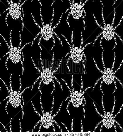 Seamless Pattern With Spider Hand-drawn With Ink In Black And White Colors
