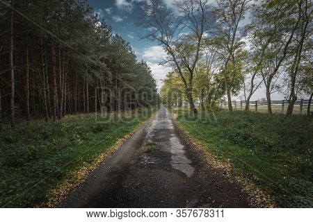 Empty Old Road In Slovakian Forest