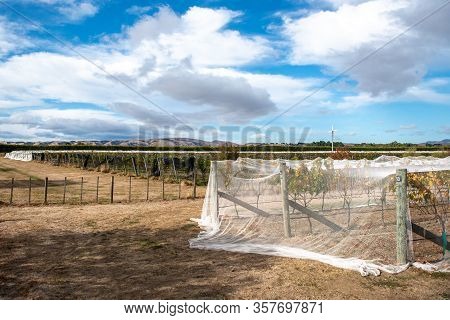 Day 1 Of Covid 19 Lockdown (just Me And My Bike  In Martinborough Surrounded By Vineyards) , While M