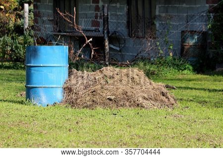 Old Partially Rusted Blue Metal Barrel Left In Suburban Family House Backyard Next To Pile Of Dry Gr