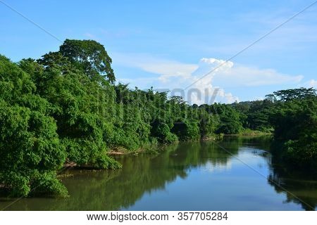 Tamparuli River With Mangroves In Sabah, Malaysia