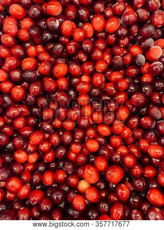 Lots Of Ripe Delicious Red Berries For Healthy Food Like Background