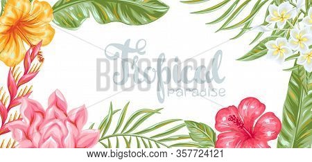 Background With Tropical Flowers And Leaves. Decorative Exotic Foliage, Palms And Plants.