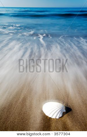 Seashell Beach