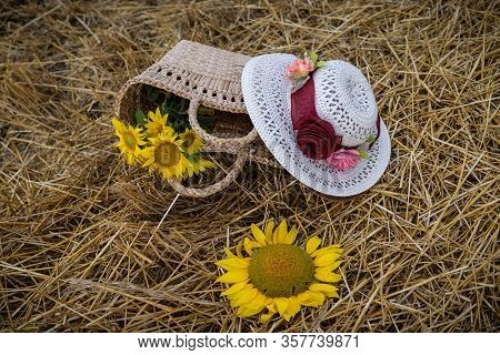 Still Life Of Hats And Baskets With Sunflowers On A Mowed Field