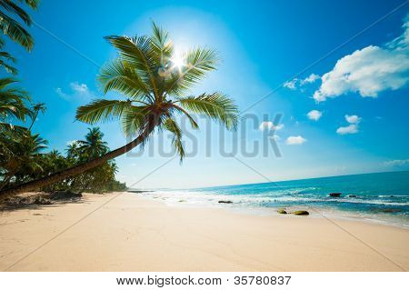 ริมชายหาดขาวละเอียดในศรีลังกา