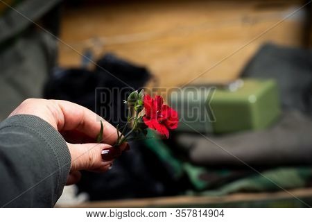 Hand Holding Flower In Front Of Vintage Military Equipment Closeup