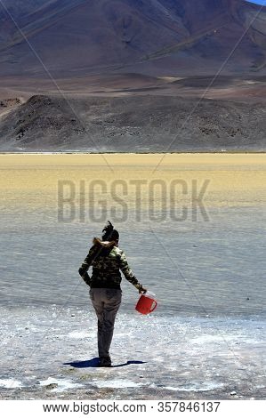 Beautiful Lagoon Located At The Foot Of The Majestic Socompa Volcano, Puna Salteña, Argentina.