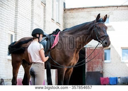 Young Teenage Girl Owner Unsaddling Bay Stallion After Sport Training. Colored Horizontal Outdoors I