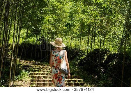 traveling Asian woman hiking in the forest at Xitou, Nantou, Taiwan