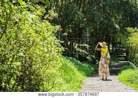 traveling Asian woman hiking in the forest at Xitou, Nantou, Taiwan