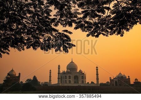 View Of Taj Mahal Framed By A Tree Crown At Sunset, Agra, Uttar Pradesh, India. Taj Mahal Was Design