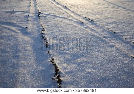 Traces Of Mechanical Transport On Cold Snow After Snowfall, Details Of The Structure And Traces Of T