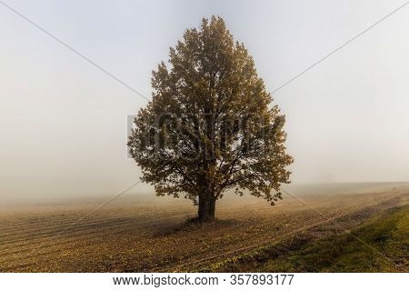 European Autumn In A City Park With Trees Changing Color, Specific And Special Seasons