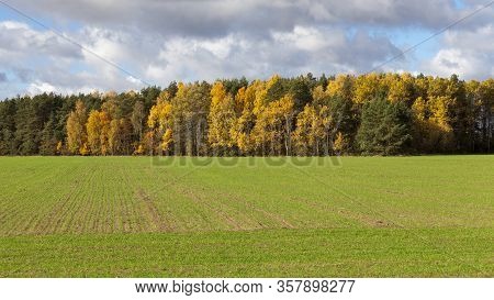 Autumn Nature With Colorful Trees That Change The Color Of The Foliage