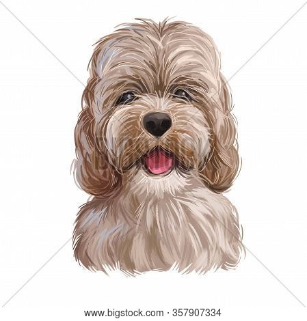 Golden Cockapoo Dog Digital Art Illustration Of Cute Canine Animal. Mixed-breed Dog Cross Between Am