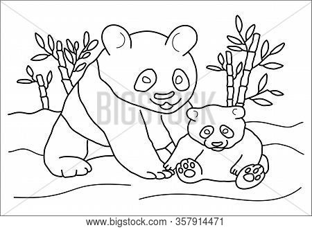 Panda Coloring Book At The Zoo For Children