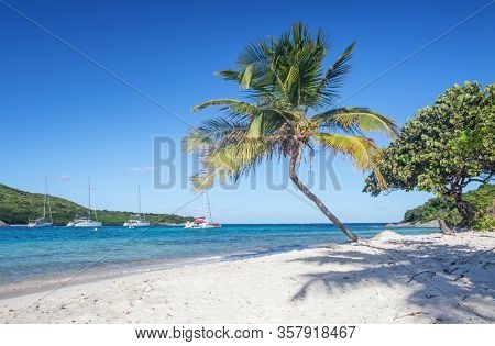 Petit Rameau Carabbean tropical Island Beach Coast, catamaran sailing concept