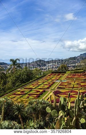 Funchal, Portugal - February 13, 2020: Detail Of Madeira Botanical Garden In Fuchal, Portugal. Garde
