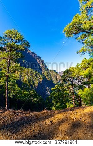 Scenic View On Caldera De Taburiente With Green Pine Forest, Ravines And Rocky Mountains Near Viewpo