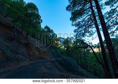 Scenic View On Caldera De Taburiente With Green Pine Forest, Ravines And Rocky Mountains Near Viewpo