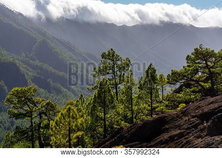 Cloud Waterfall Phenomenon At La Palma Island, Spain Near Viewpoint Cumbrecita In Caldera De Taburie