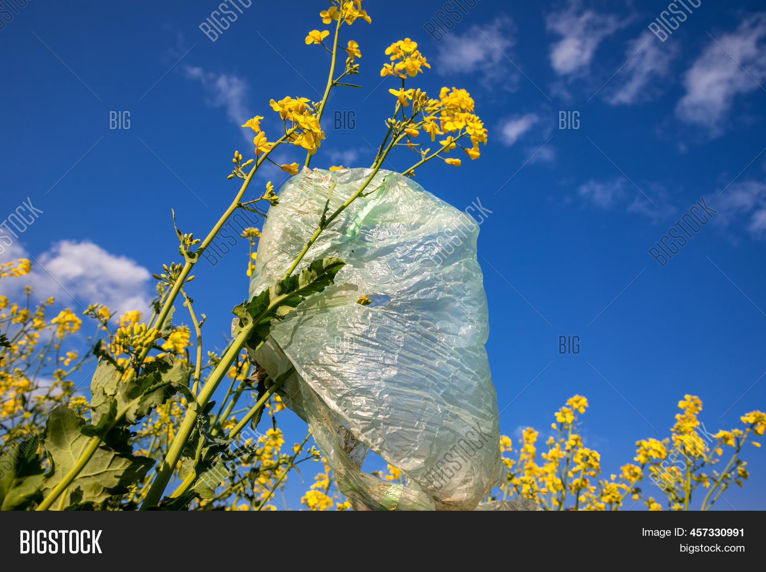 Plastic Bag Nature Image & Photo (Free Trial) Bigstock