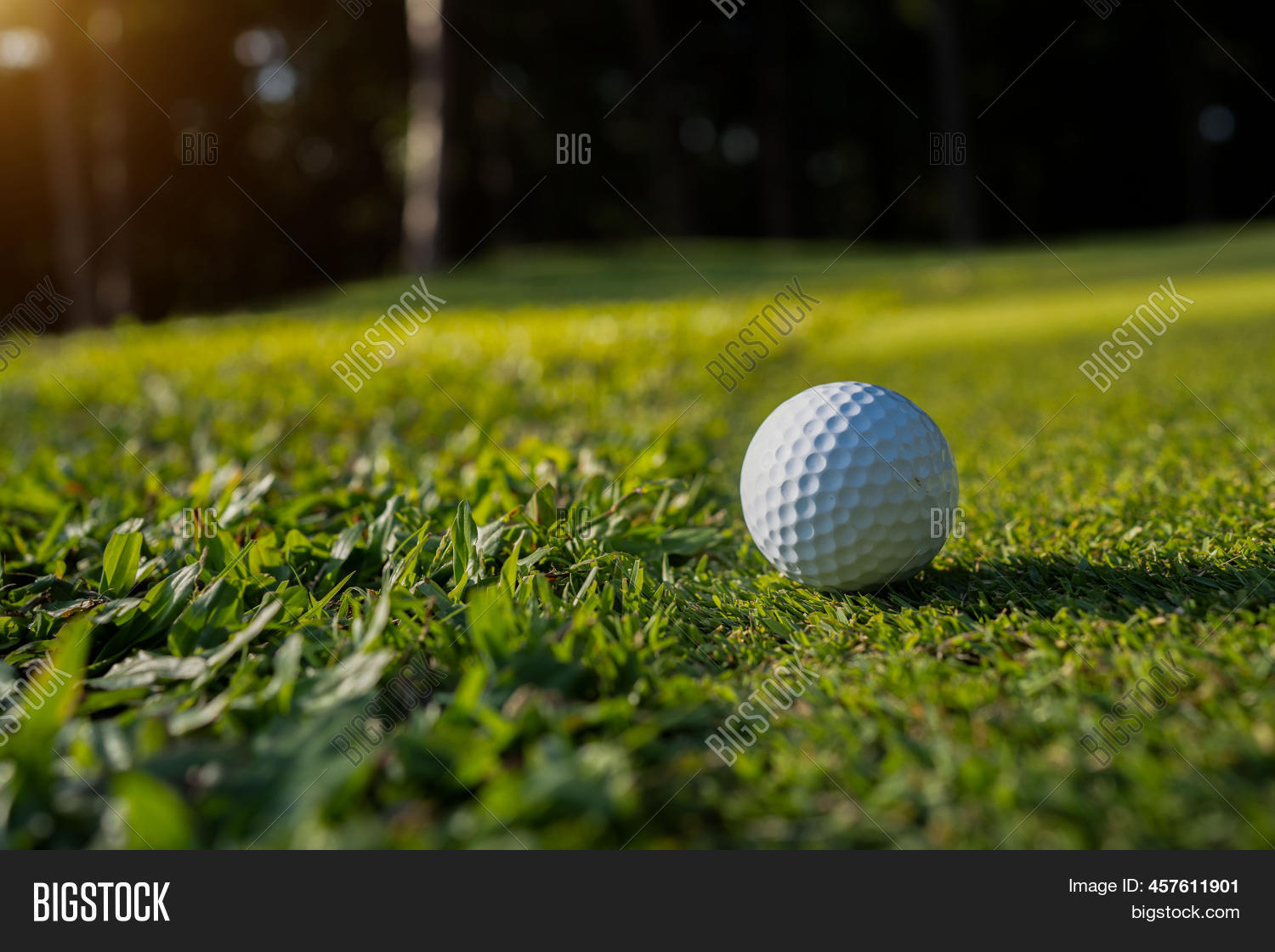 Golf Ball On Green Image & Photo (Free Trial) Bigstock
