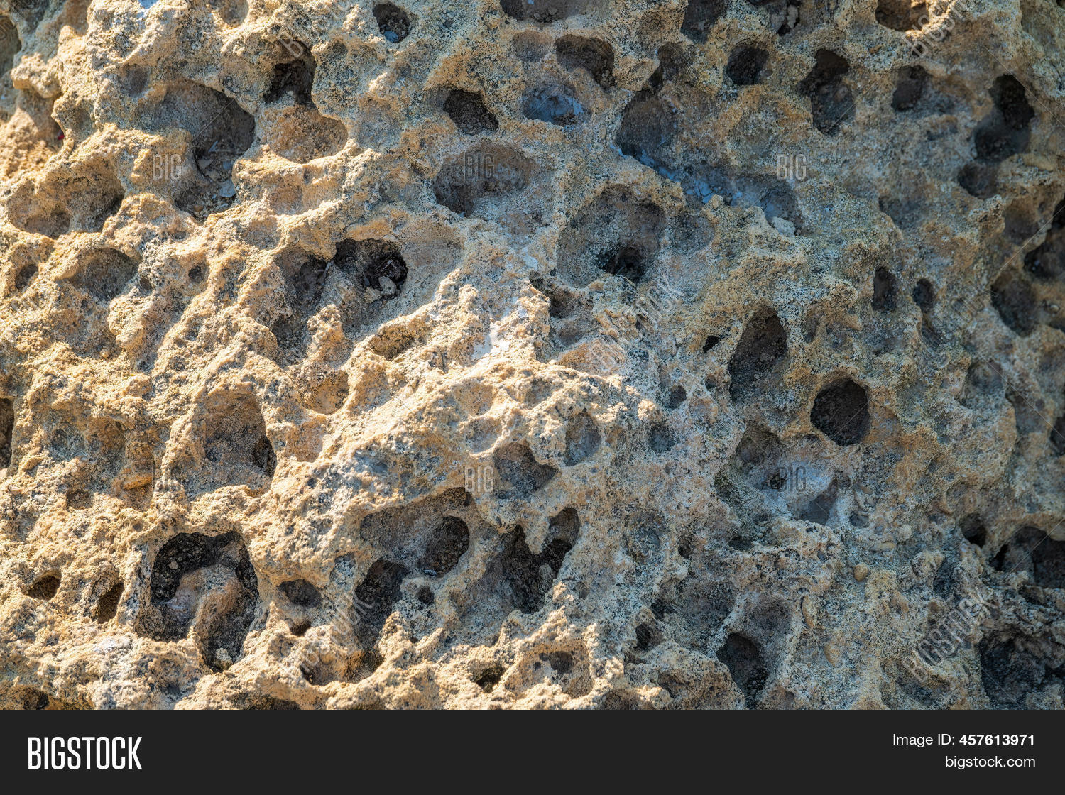 Background Texture Image & Photo (Free Trial) | Bigstock