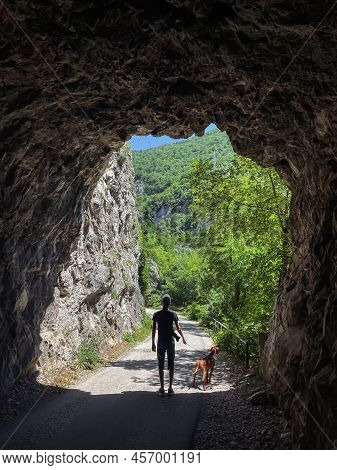 Man With Vizsla Dog On Walk In Mountains