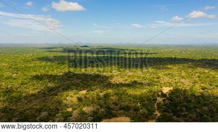 Aerial View Of Tropical Green Forest In The Kumana National Park. Sri Lanka.