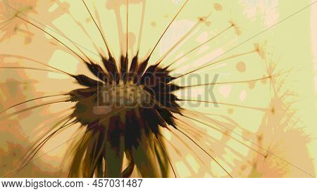 Dandelion Seed Ball With Seeds Close-up. Summer Floral Picture With Pasteurization. Airy And Fluffy 