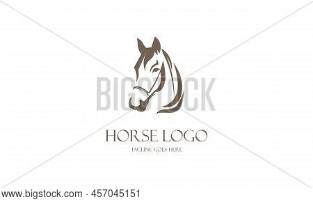 Creative Horse Logo Icon Symbol Vector Design Illustration