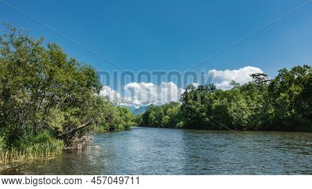 The Riverbed Runs Between The Banks Overgrown With Green Forest. Cumulus Clouds In A Blue Sky. Kamch