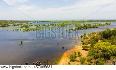 Top View Of Lake And Wetlands In Kumana National Park. Sri Lanka.