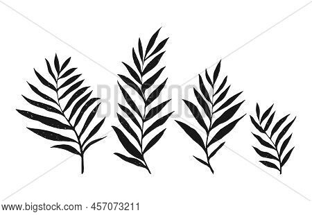 Tropical Vector Dypsis Leaves Palm. Jungle Dypsis Leaf Tropic Set. Hand Drawn Vector Exotic Leaves.