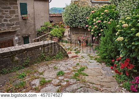 Trappola, Loro Ciuffenna, Arezzo, Tuscany, Italy: Old Alley With Flowers And Plants Of The Picturesq
