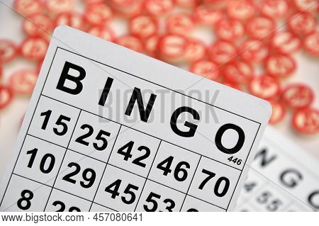 Many Wooden Chips With Numbers And Cards For A Board Game Of Bingo Or Lotto On A Light Background.