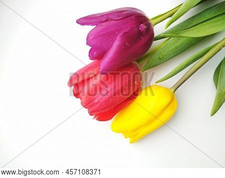Bouquet Of Colorful Tulips For The Holiday, Background Image