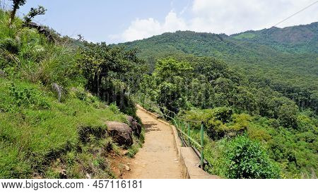 Tourists Hiking In Ooty To Enjoy The Sightseeing Place Needle Rock View Point Or Suicide Point. Best