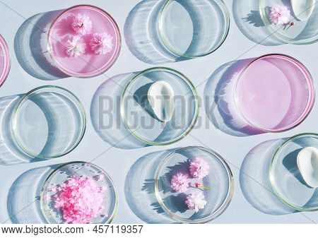 Petri Dish With Cosmetic Samples On A Light Background