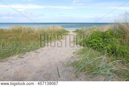 Path Through The Sand Dunes At The Coast Of The Baltic Sea, Marielyst, Denmark