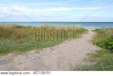 Path Through The Sand Dunes At The Coast Of The Baltic Sea, Marielyst, Denmark