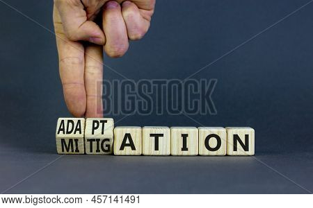 Adaptation Or Mitigation Symbol. Businessman Turns Cubes And Changes The Concept Word Mitigation To 
