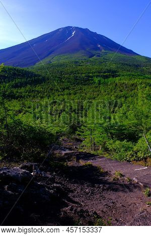 Mount Fuji In Early Summer From Okuniwa Nature Park 06/27/2022