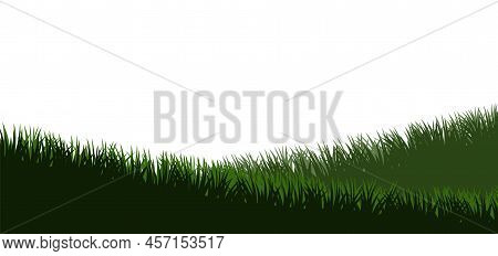 Grass. Nature Rural Landscape. Pasture Overgrown. Overgrown Dense Lawn. Hilly Meadow. Isolated On Wh