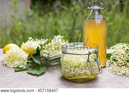 Classic Elderflower Cordial Recipe With Wild Foraged Elderflowers And Fresh Lemon Juice. The Easy-ma